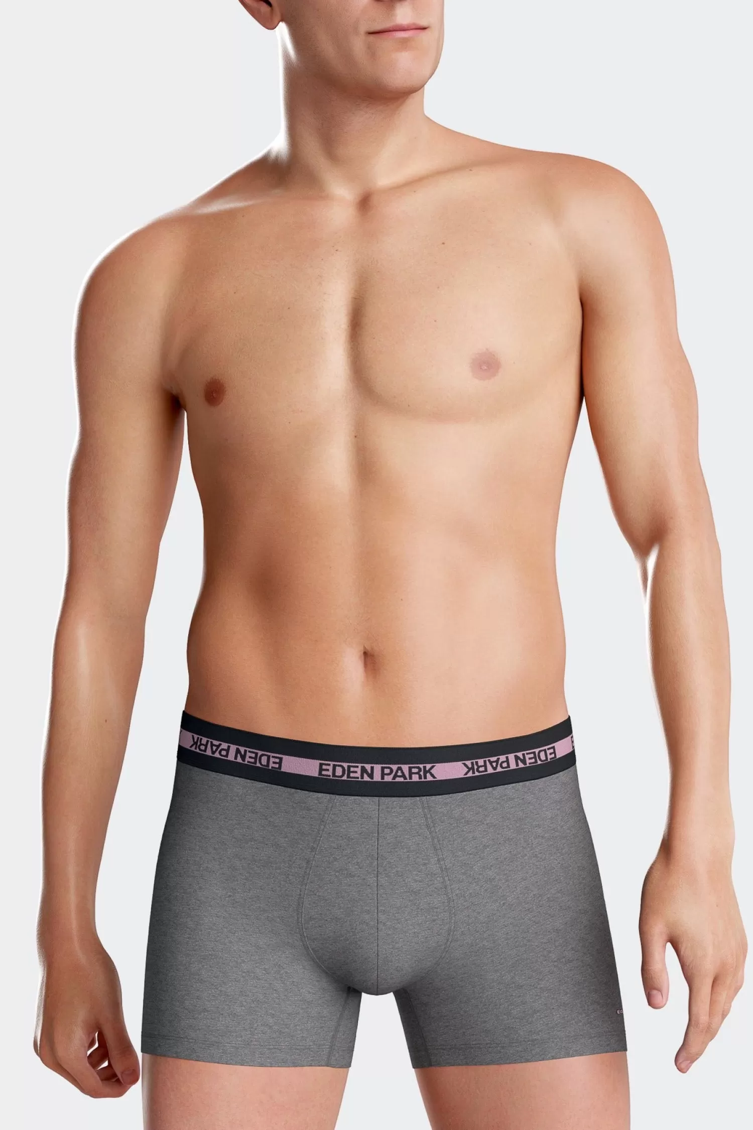 Eden Park Anthracite grey stretch cotton boxers with branded waistband< Underwear