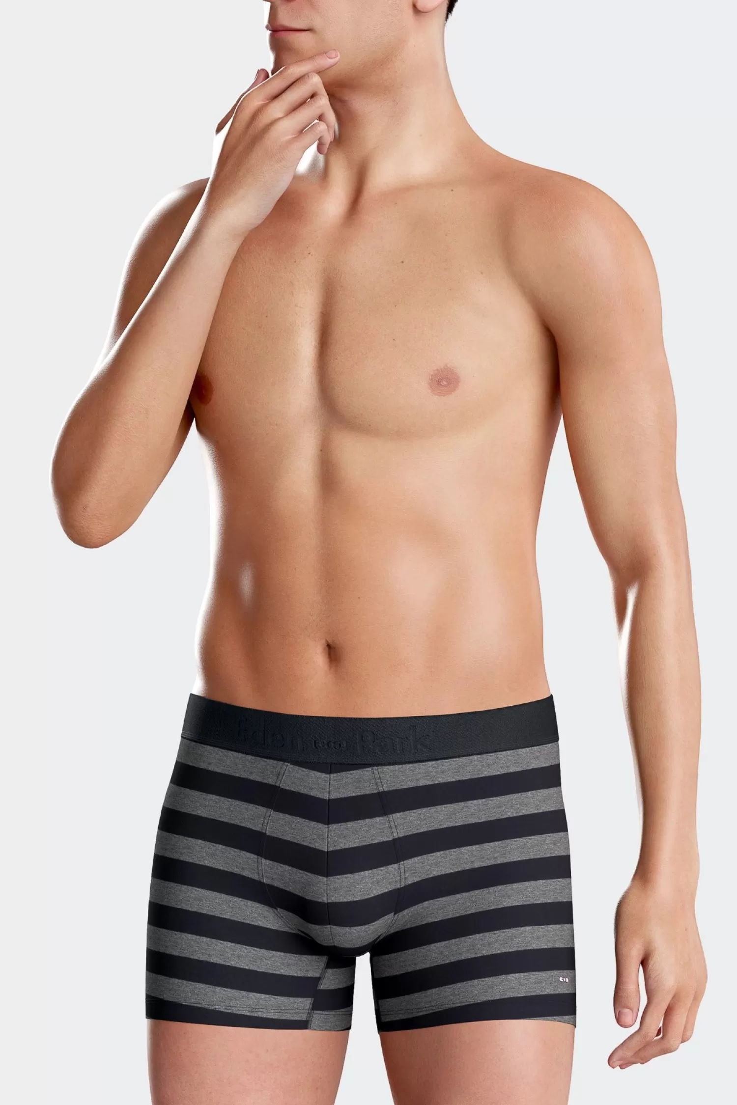 Eden Park Set of 2 anthracite grey striped and solid stretch cotton boxers< Underwear