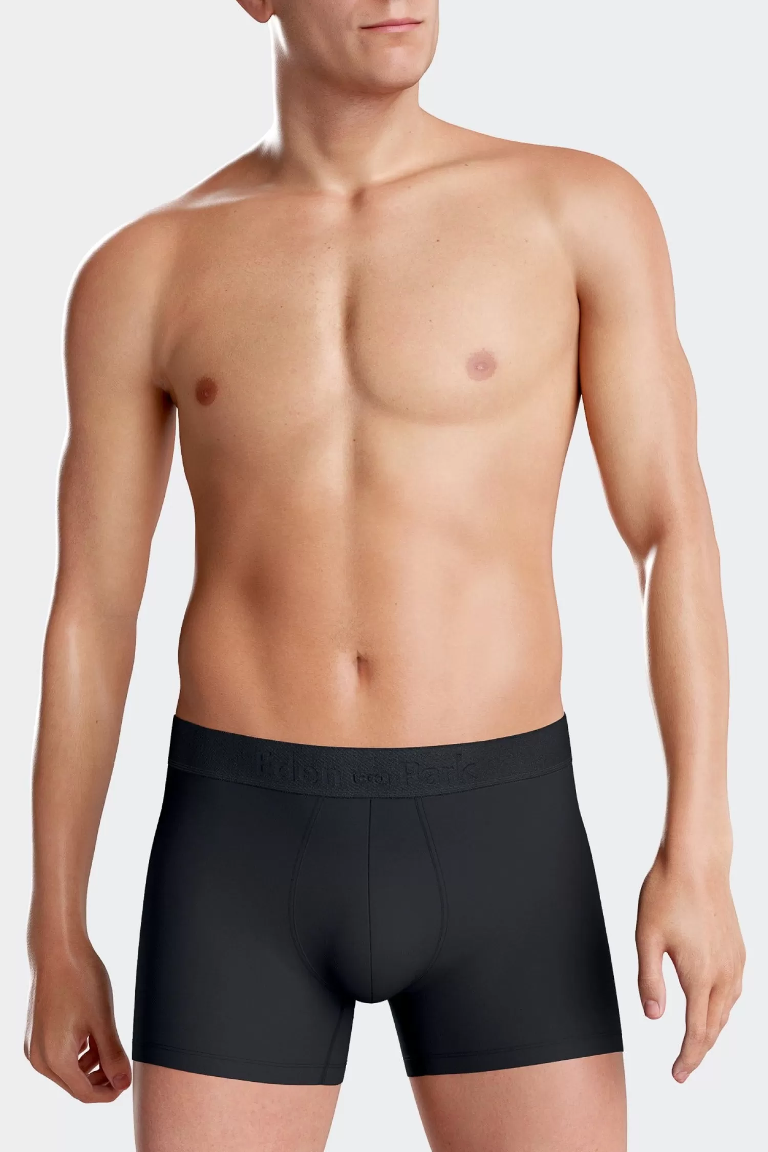 Eden Park Set of 2 anthracite grey striped and solid stretch cotton boxers< Underwear
