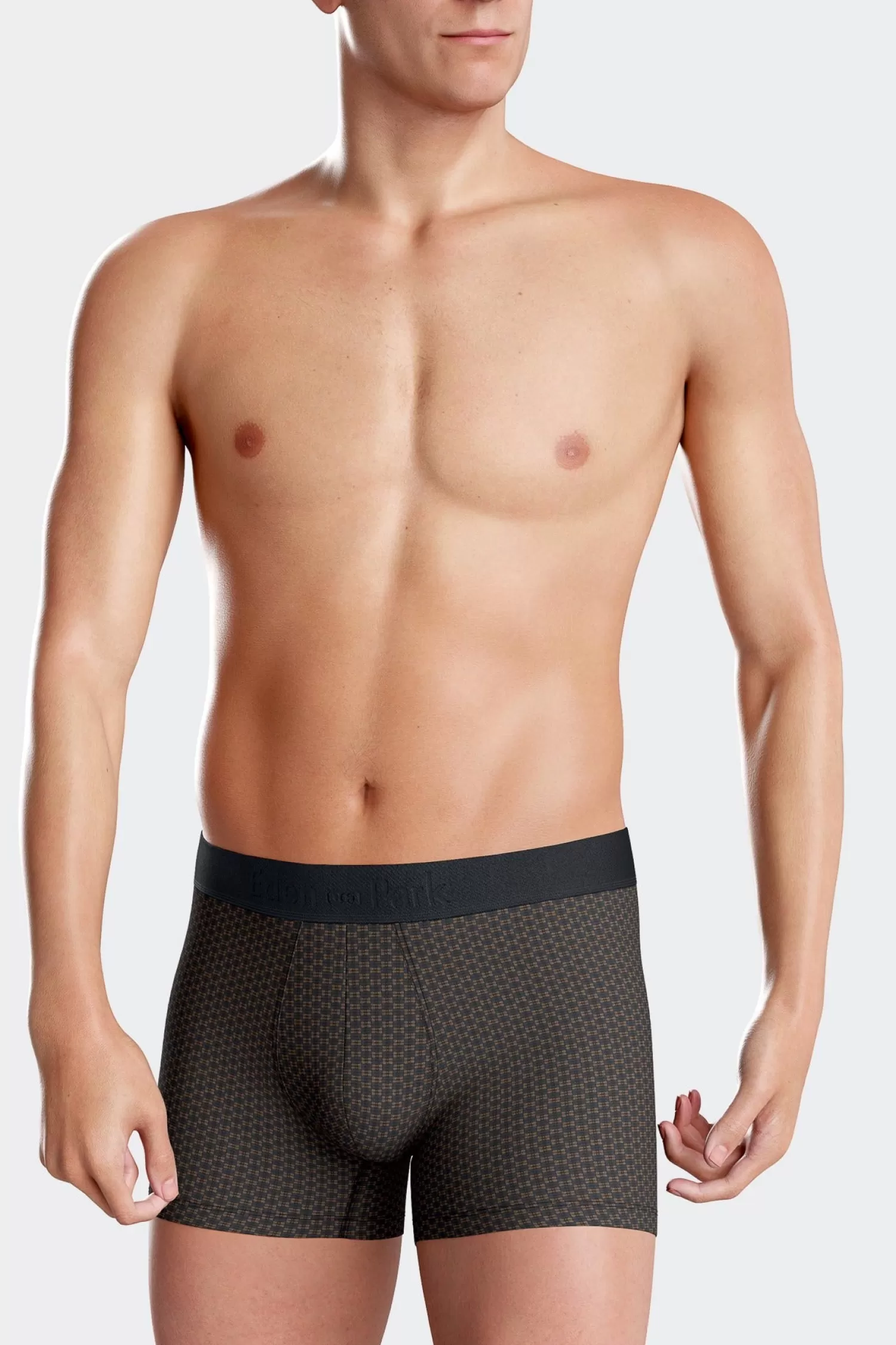 Eden Park Set of 2 brown stretch cotton boxers with graphic micro patterns< Underwear