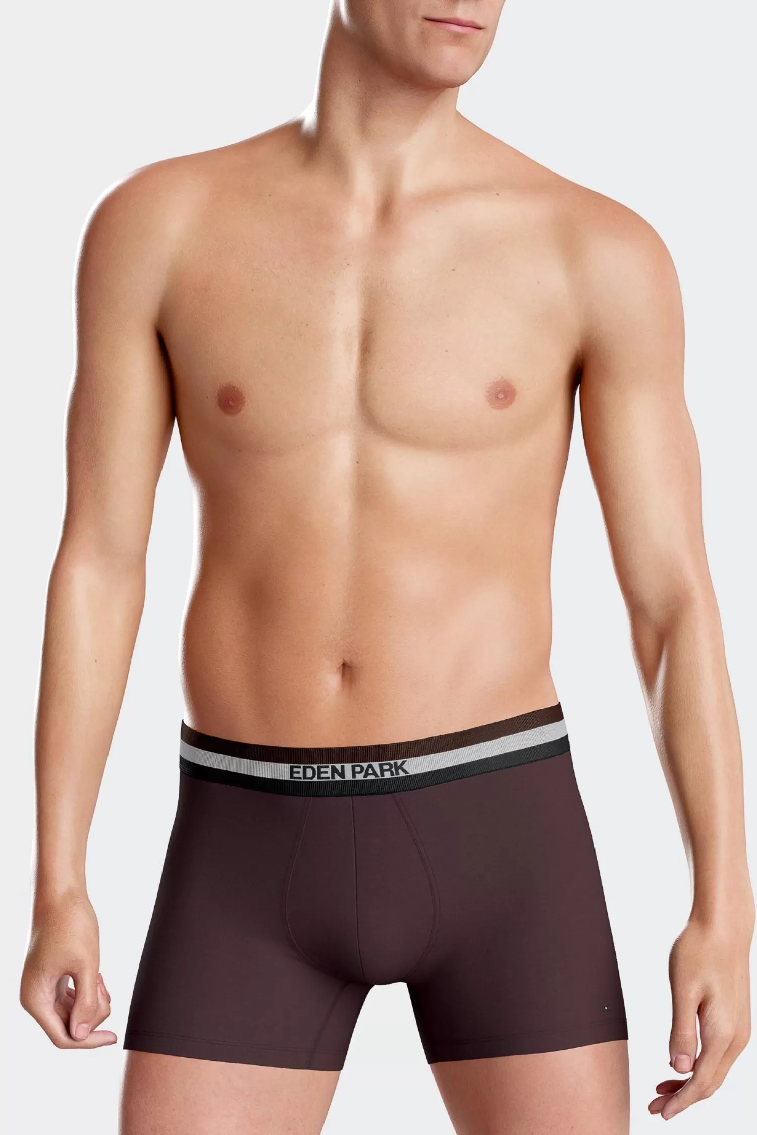 Eden Park Set of 2 burgundy stretch cotton boxers with tricolor waistband< Underwear
