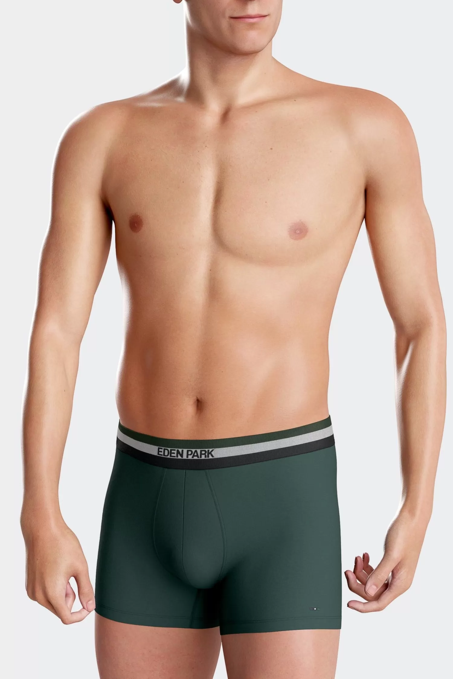 Eden Park Set of 2 green stretch cotton boxers with tricolor waistband< Underwear
