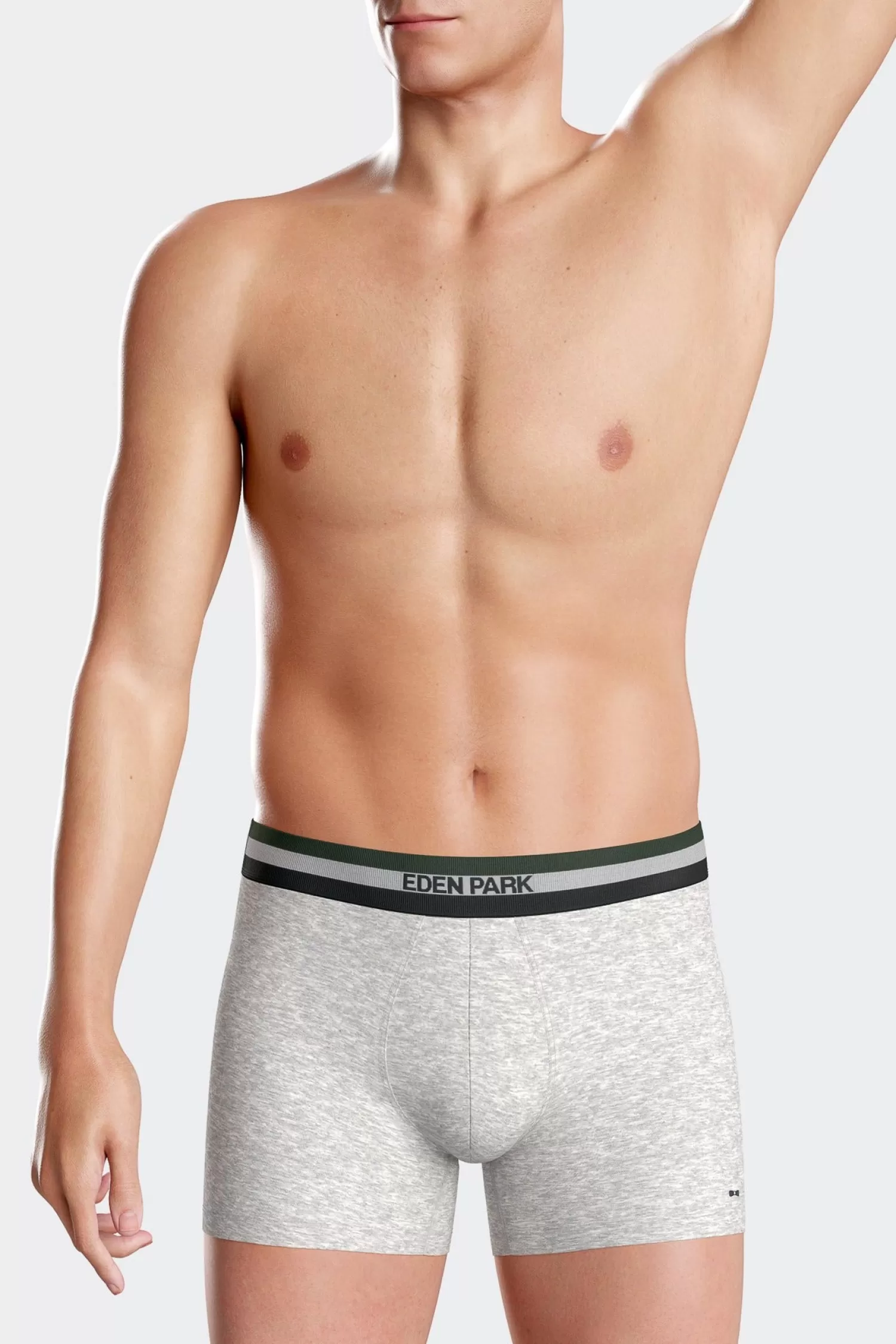 Eden Park Set of 2 grey stretch cotton boxers with tricolor waistband< Underwear