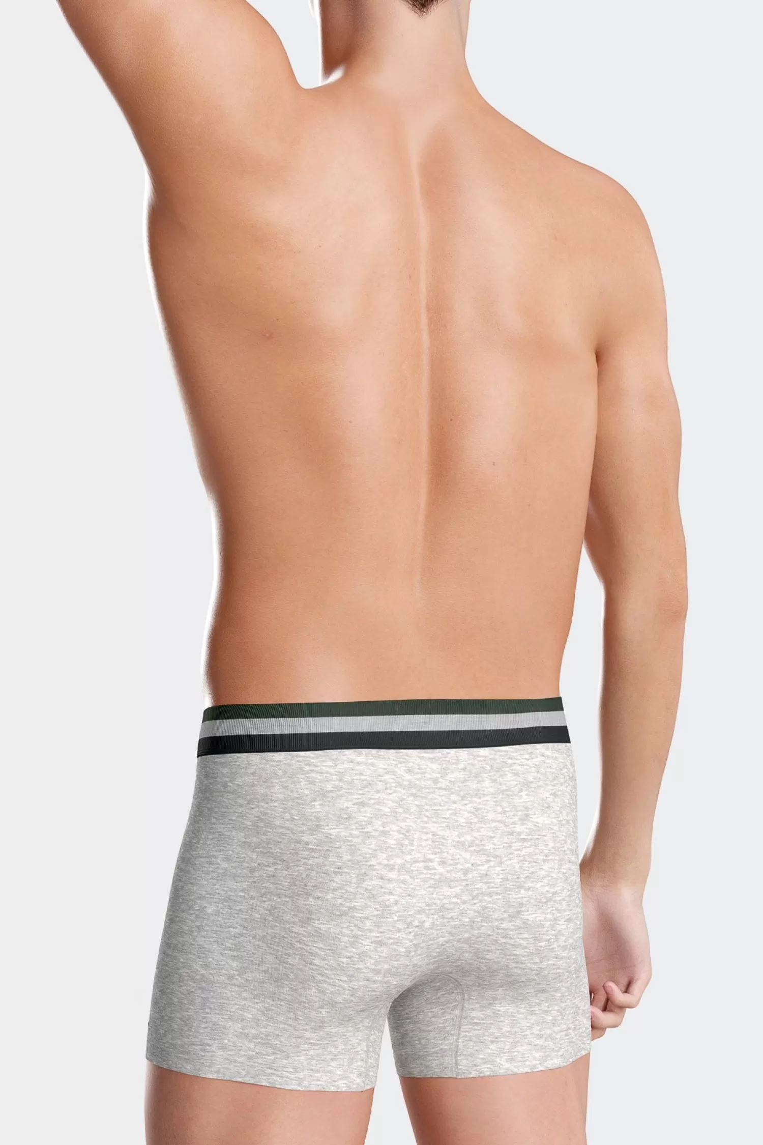 Eden Park Set of 2 grey stretch cotton boxers with tricolor waistband< Underwear